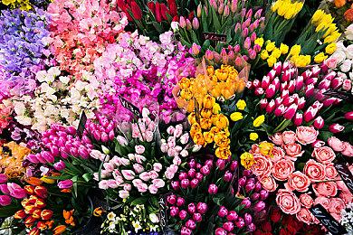 强强联手 Netflix正在制作《生化奇兵》电影